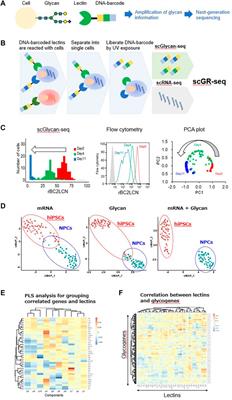 Glycan Profiling by Sequencing to Uncover Multicellular Communication: Launching Glycobiology in Single Cells and Microbiomes